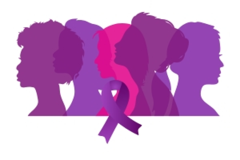 Comemoração do Dia Internacional para a Eliminação da Violência Contra as Mulheres