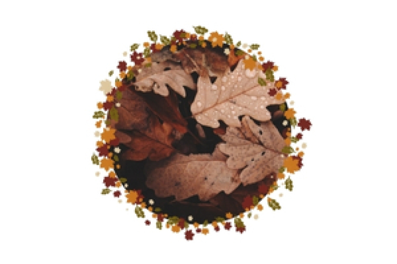 𝐅𝐞𝐢𝐫𝐚𝐬 𝐝𝐞 𝐎𝐮𝐭𝐨𝐧𝐨 - JI do AGEVC